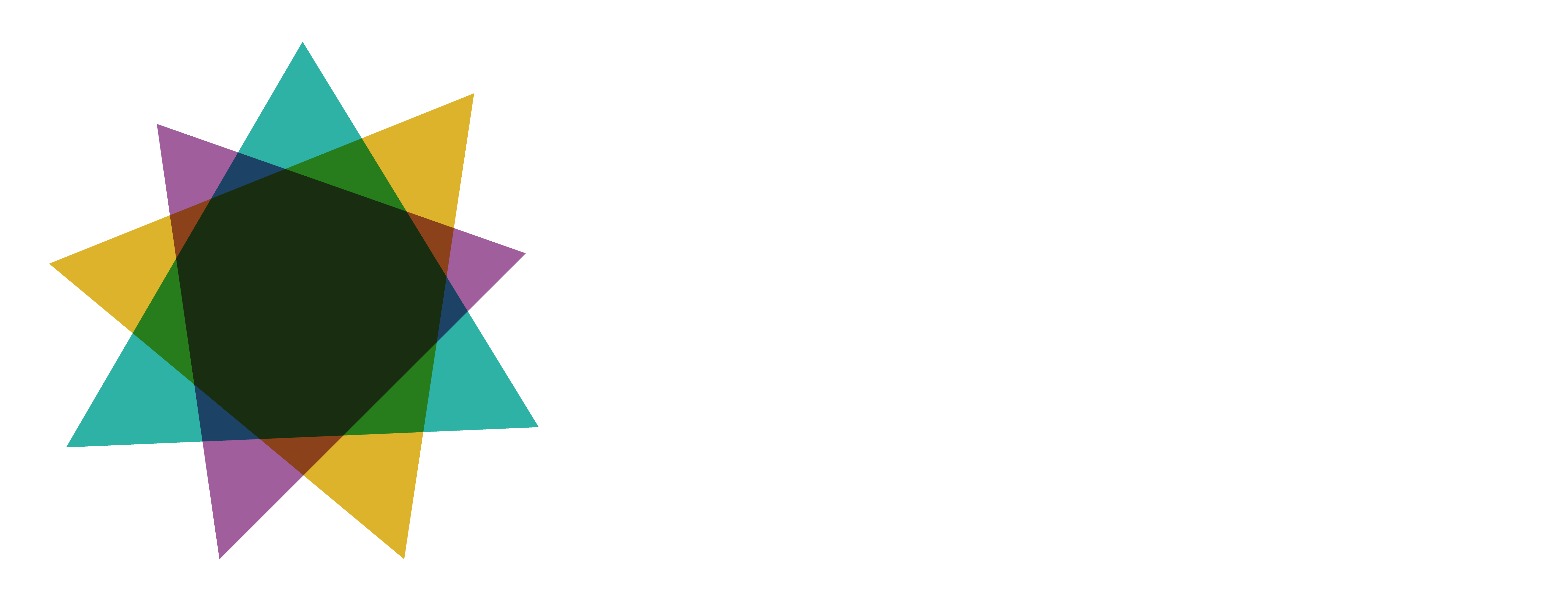 Data Visualization Society